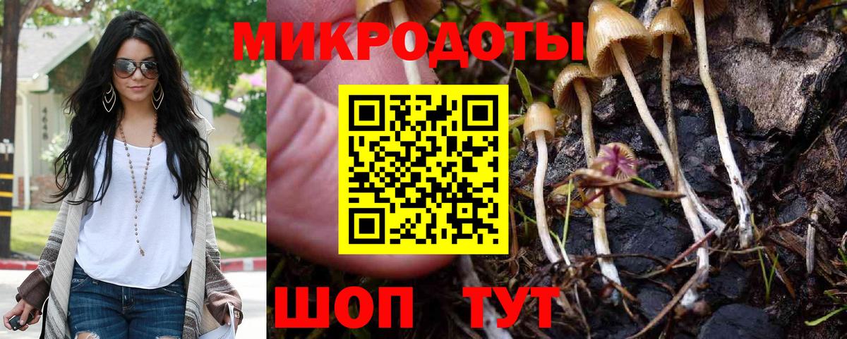 Тавда  Псилоцибиновые грибы мицелий  Вход с VPN 